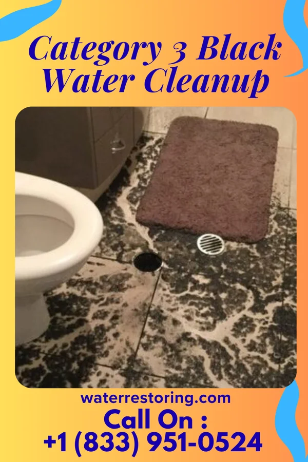Category 3 Black Water Cleanup in Hamburg, OH