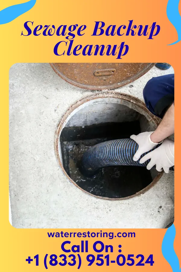 Sewage Backup Cleanup in Hamburg, OH